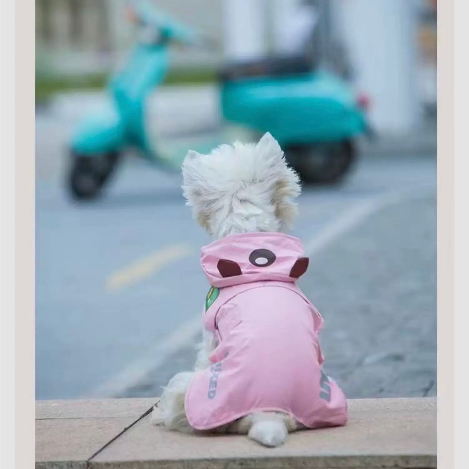 Waterproof Cute Bear Pet Rain Coat with Hood