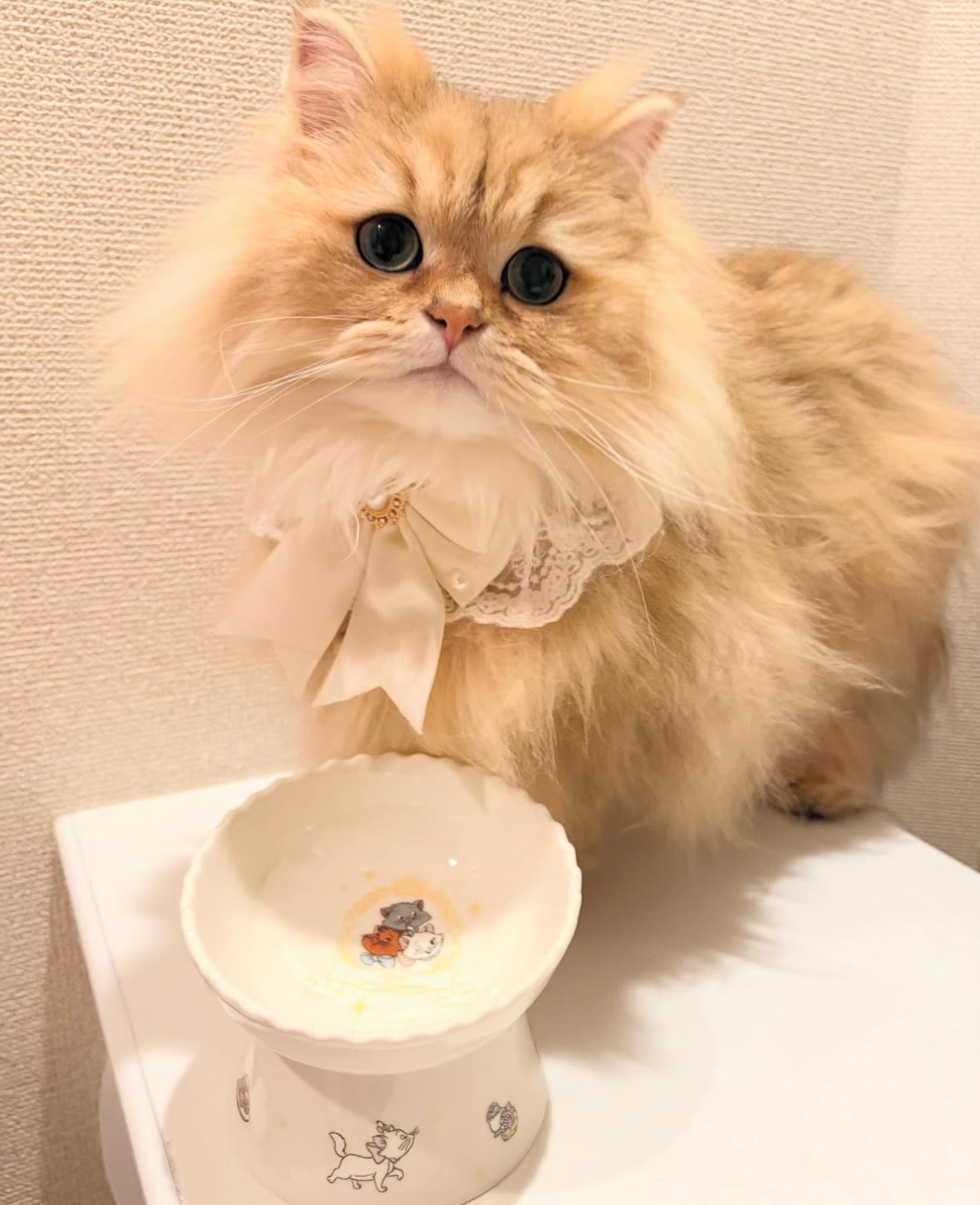 White Bow Tie Drool Bib for Dogs/Cats