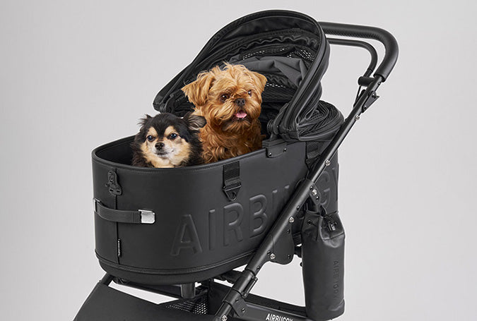 Si Series DOME3 PREMIER - kikiandpuppies