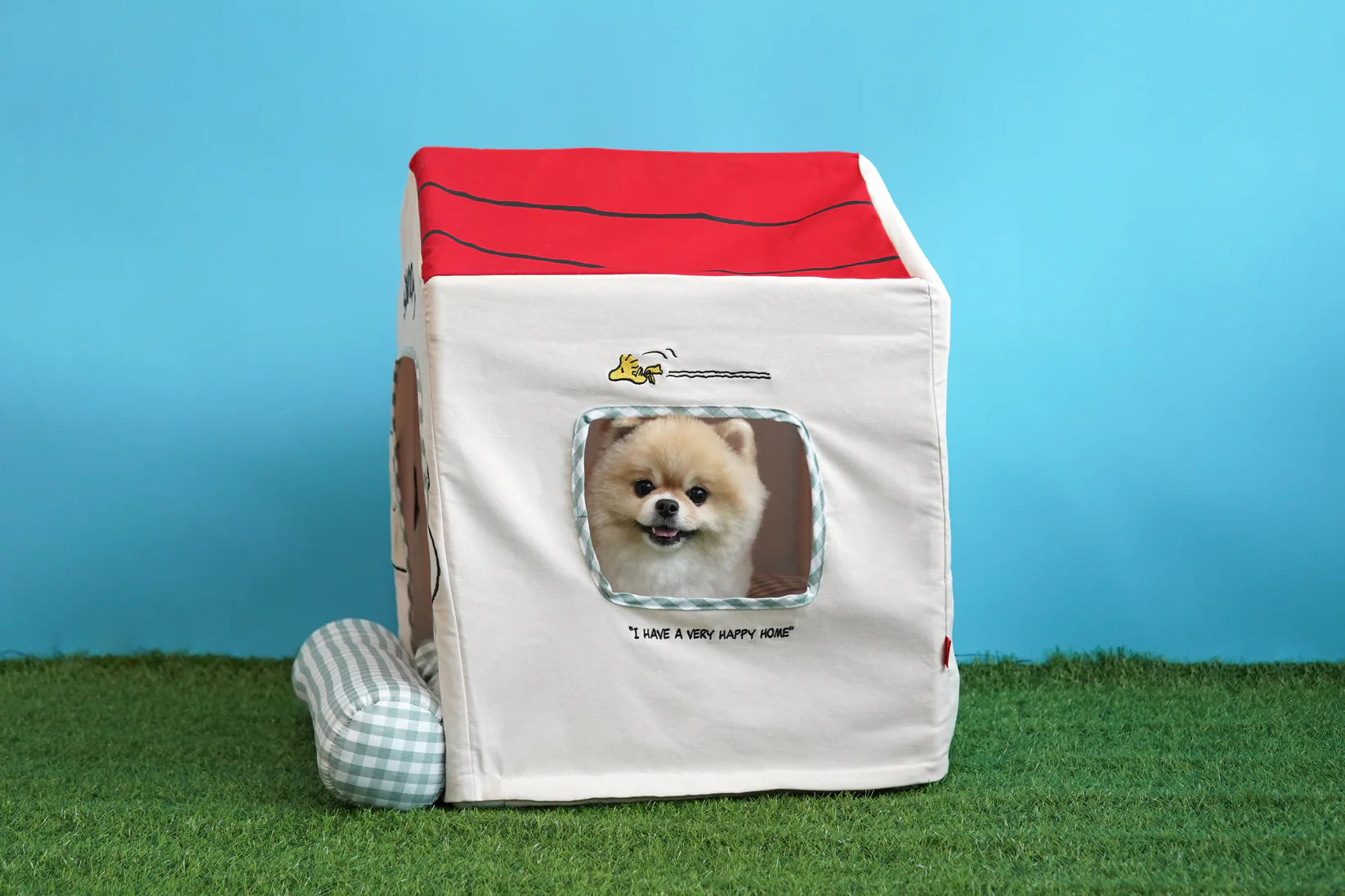 Snoopy Frame House