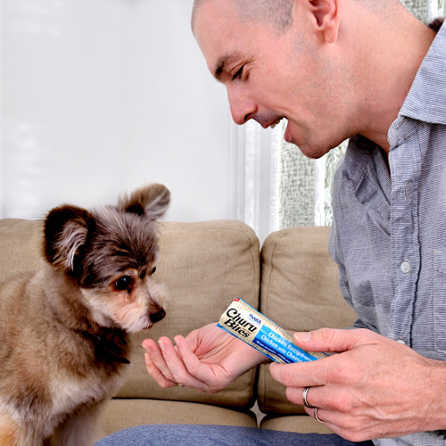 Churu Bites Chicken Recipe wraps Chicken with Cheese Recipe - kikiandpuppies