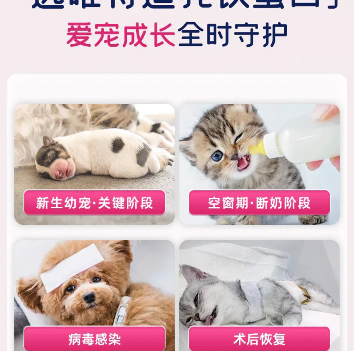 Vetwish Immune Support Lactoferrin For Cat and Dog