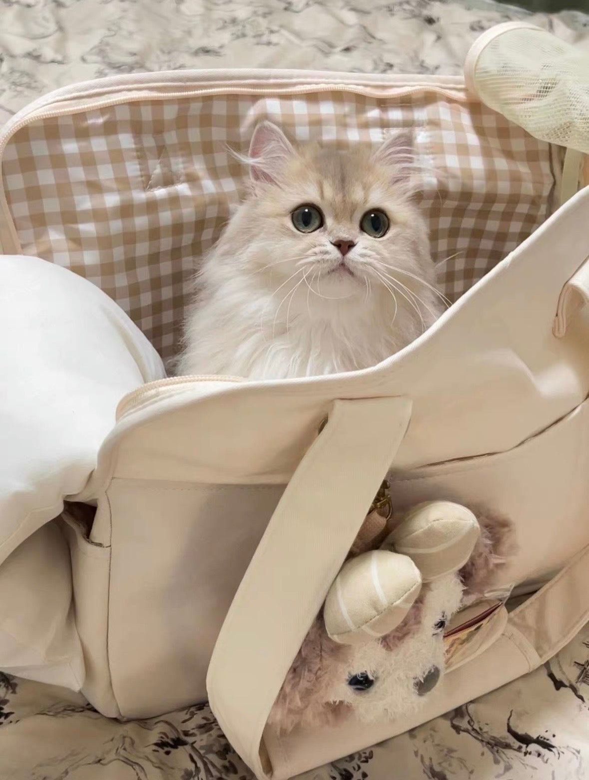 Lightweight Foldable Pet Carrier with Pillow Bag