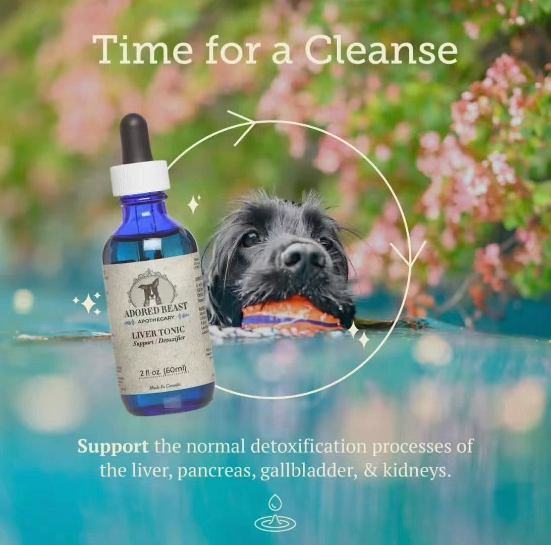 ADORED BEAST Liver Tonic | Support & Detoxifier - kikiandpuppies