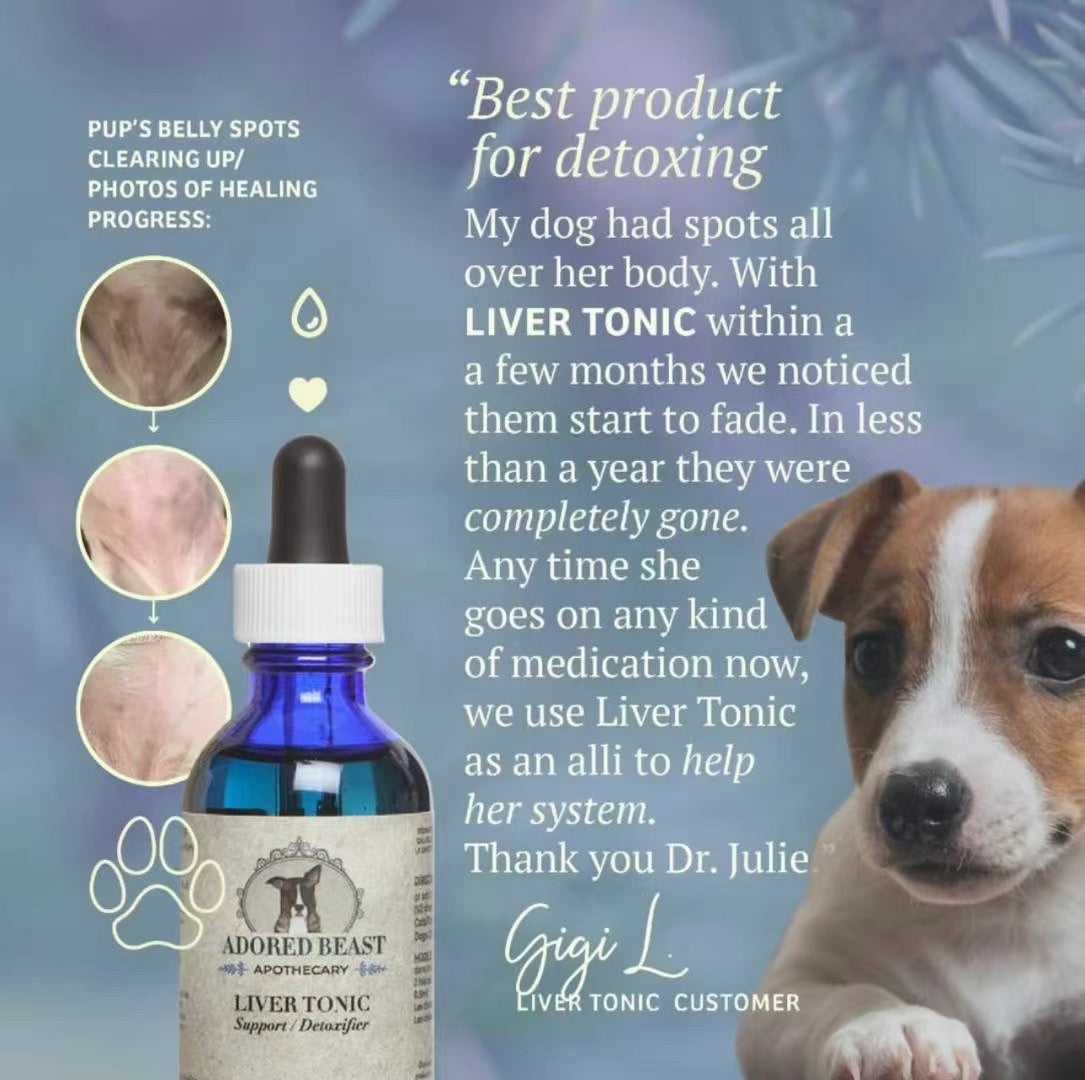 ADORED BEAST Liver Tonic | Support & Detoxifier - kikiandpuppies