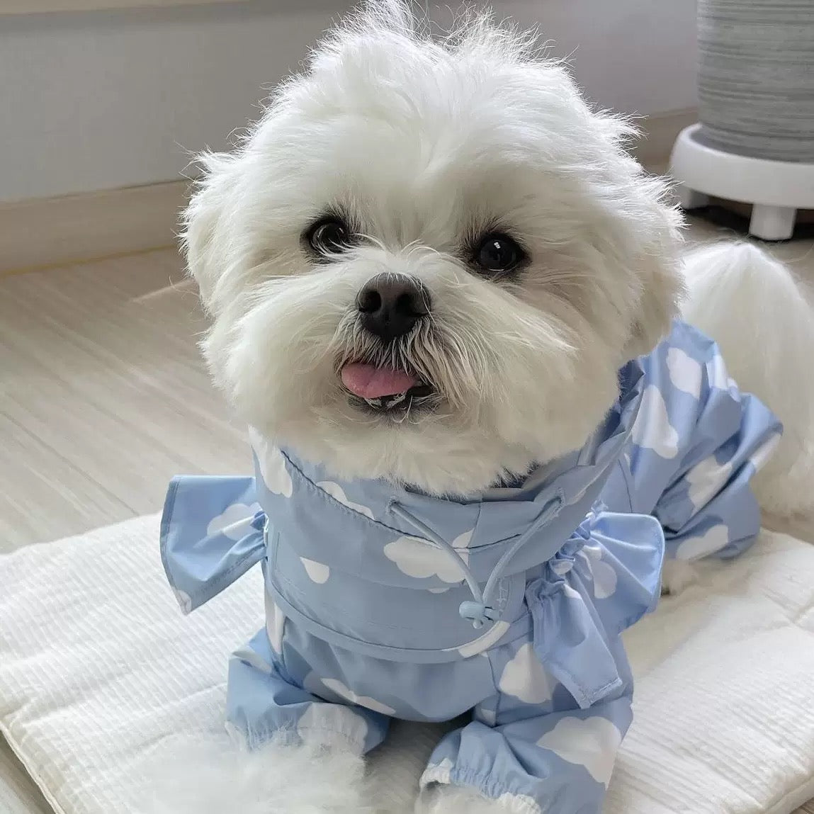 Waterproof Pet Rain Coat with Hood - Full Leg Coverage