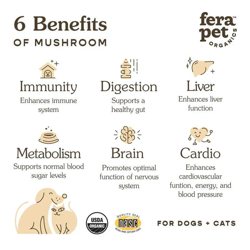 Fera USDA Organic Mushroom Blend for Immune Support 60g
