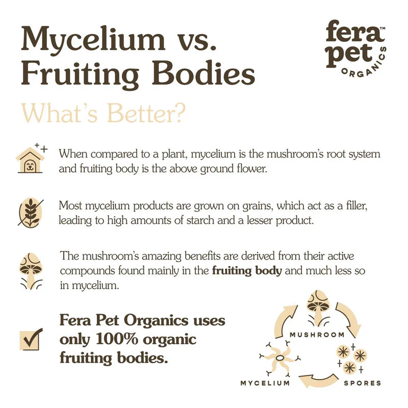 Fera USDA Organic Mushroom Blend for Immune Support 60g