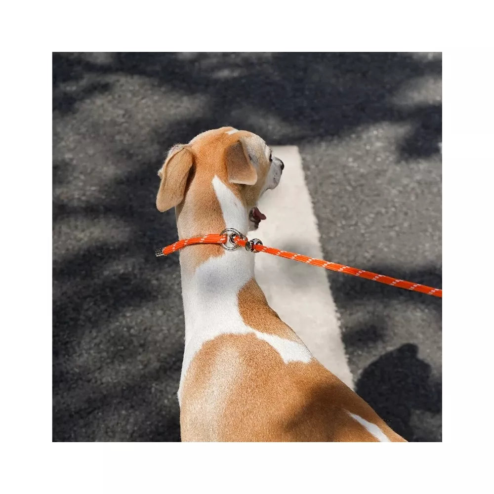 ZEZE Dog Rop Leash