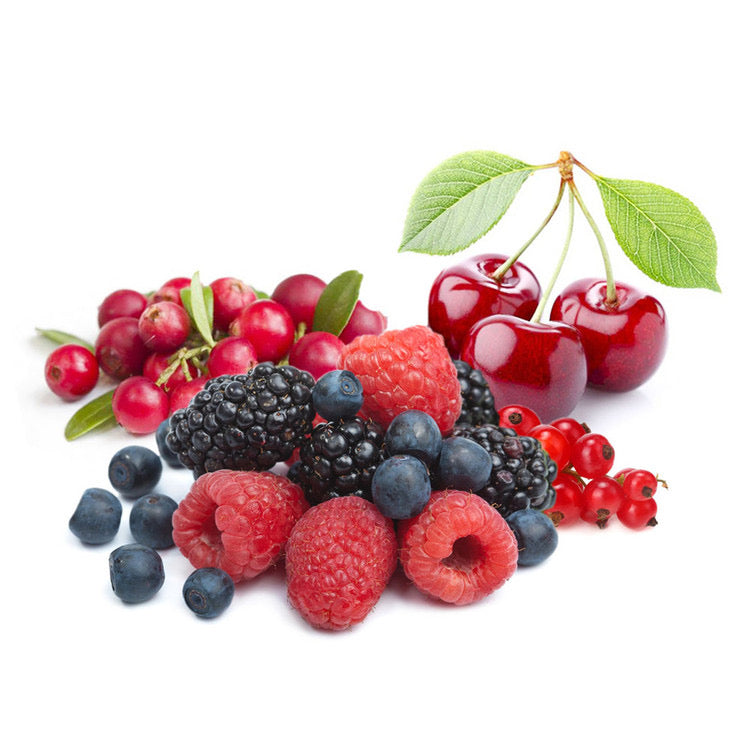 Healthy Pet - Freeze Dried six mixed berry 40g