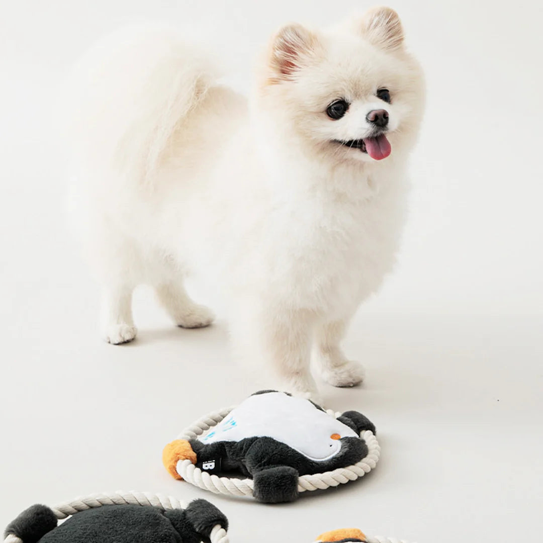 Hug Me Rope Tug Toy - Penguin