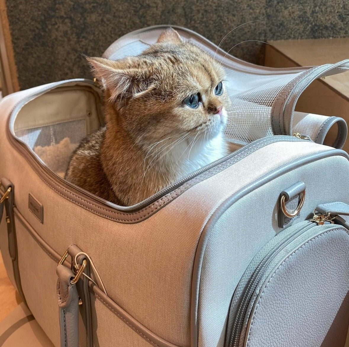 Milliong Pet Carrier Airline bag Getaway - Tapioca - kikiandpuppies