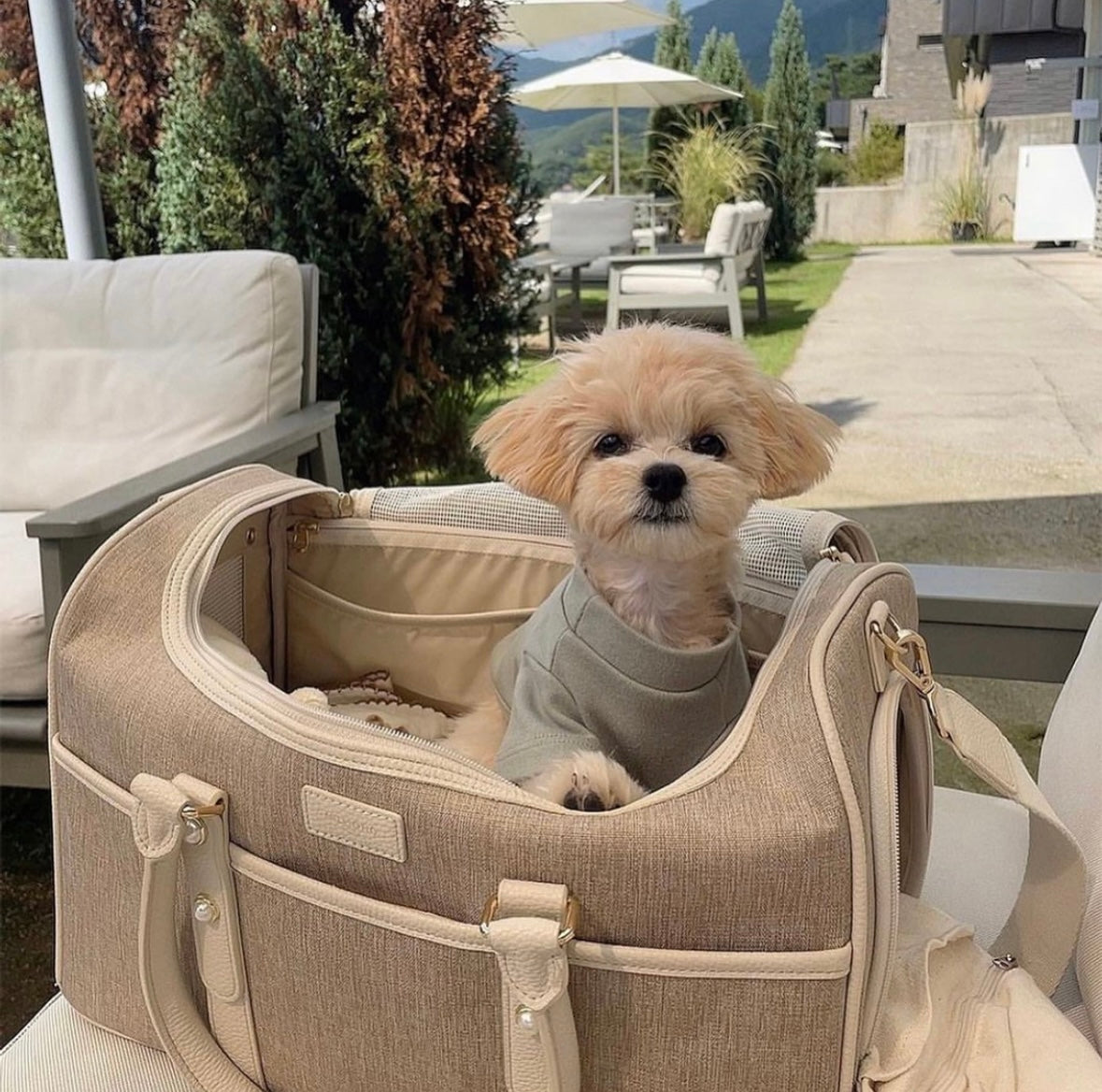 Milliong Pet Carrier Airline bag Getaway - Tapioca - kikiandpuppies
