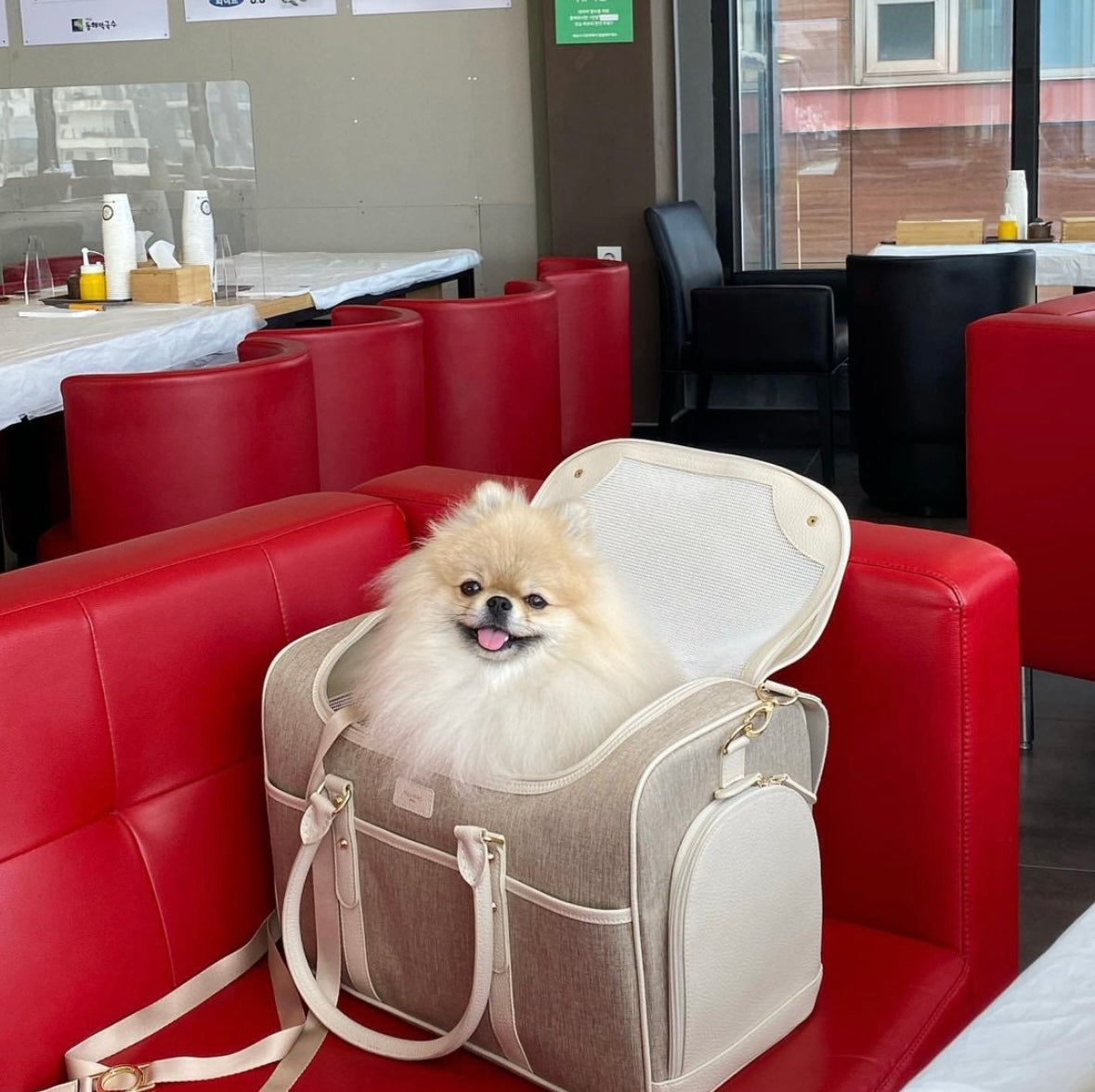 Milliong Pet Carrier Airline bag Getaway - Tapioca - kikiandpuppies