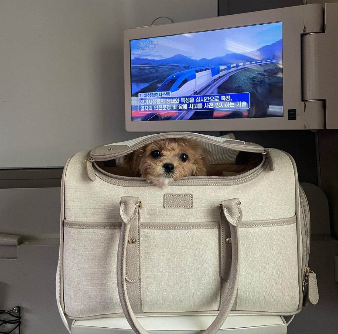 Milliong Pet Carrier Airline bag Getaway - Tapioca - kikiandpuppies