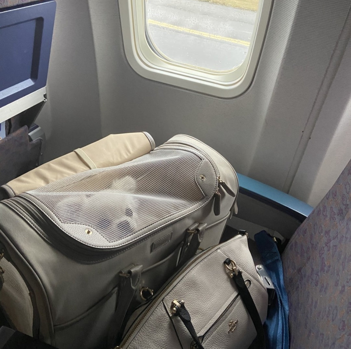Milliong Pet Carrier Airline bag Getaway - Tapioca - kikiandpuppies