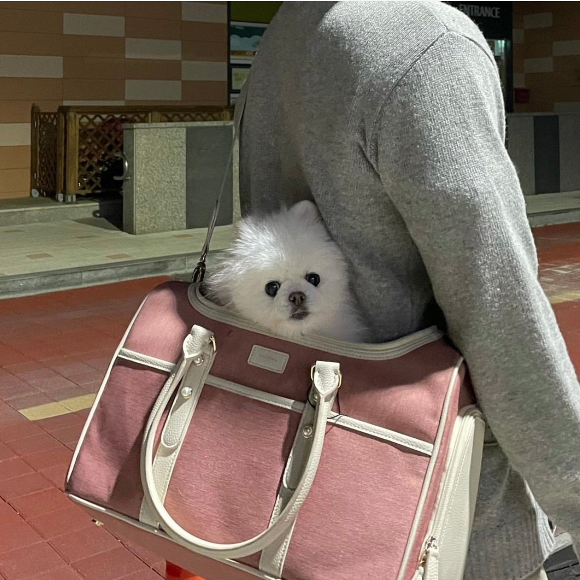 Milliong Pet Carrier Airline bag Getaway - Ash Rose - kikiandpuppies