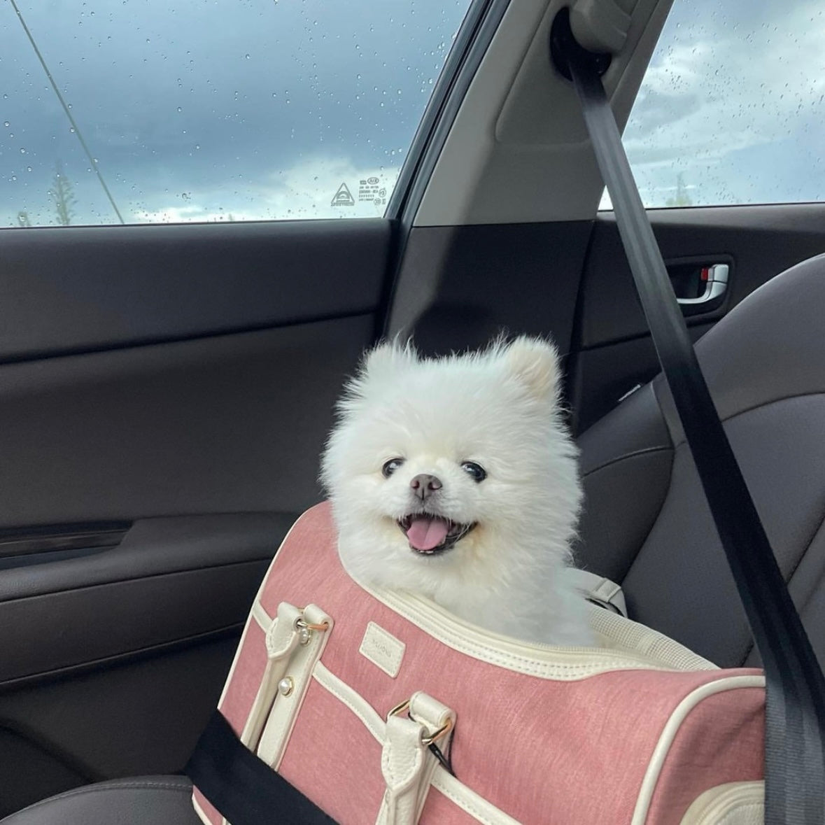 Milliong Pet Carrier Airline bag Getaway - Ash Rose - kikiandpuppies