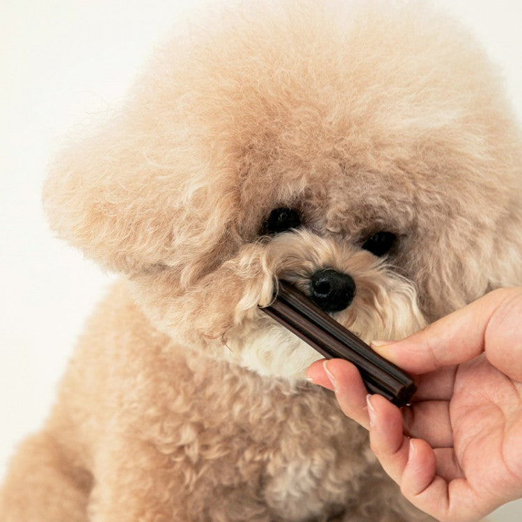 Bite Me Denti Stick (Original) - kikiandpuppies