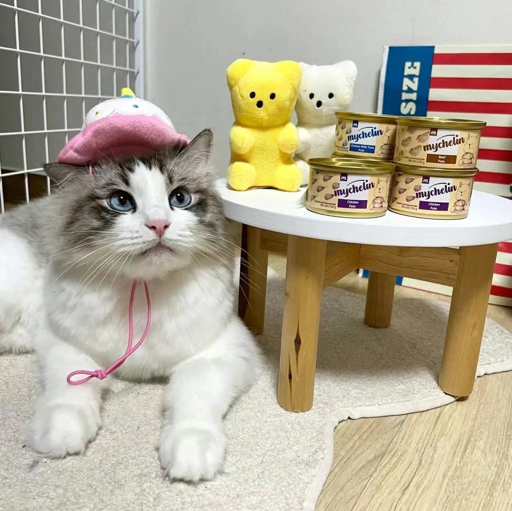 Happy Birthday Cake Hat Toy