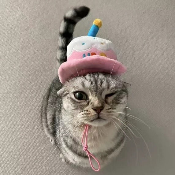 Happy Birthday Cake Hat Toy
