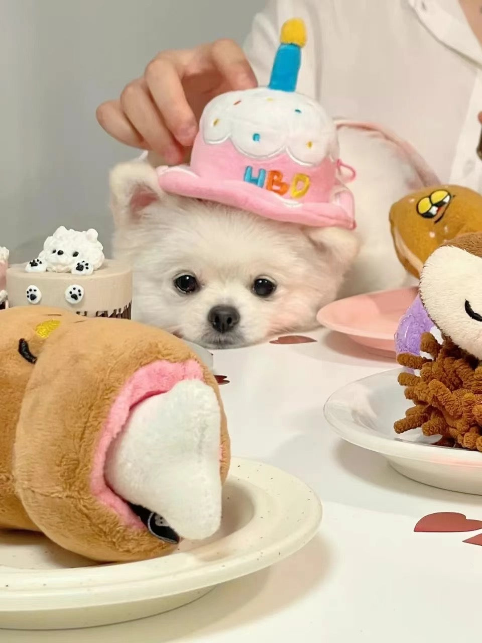 Happy Birthday Cake Hat Toy