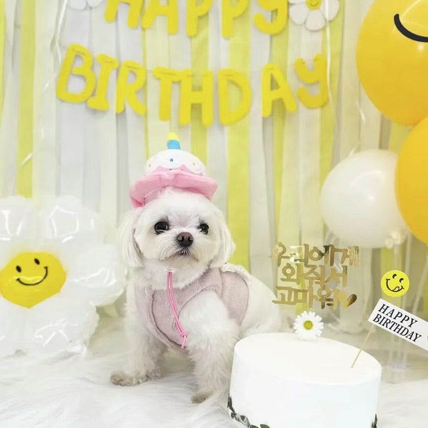 Happy Birthday Cake Hat Toy