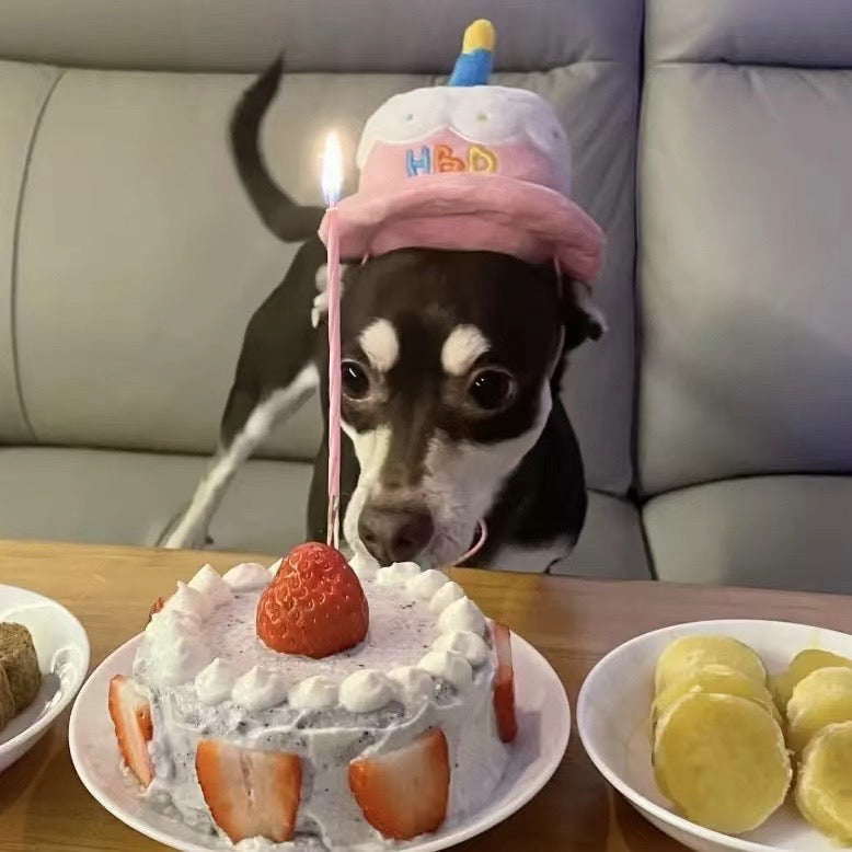 Happy Birthday Cake Hat Toy