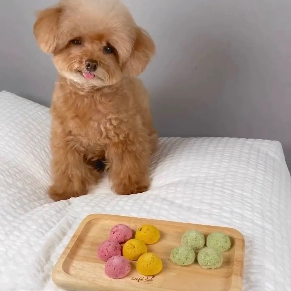 Freeze Dried Pink Macaron Pet Treats - Chicken, Apple, Beet