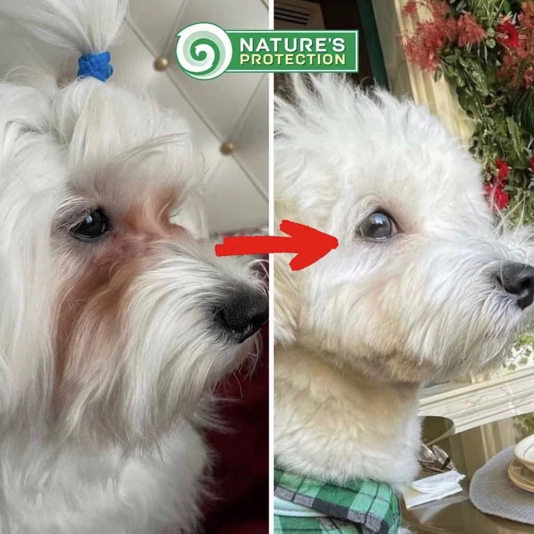 Nature´s Protection White Dog Adult Small Grain-Free Fish Dog Food 1.5kg - kikiandpuppies