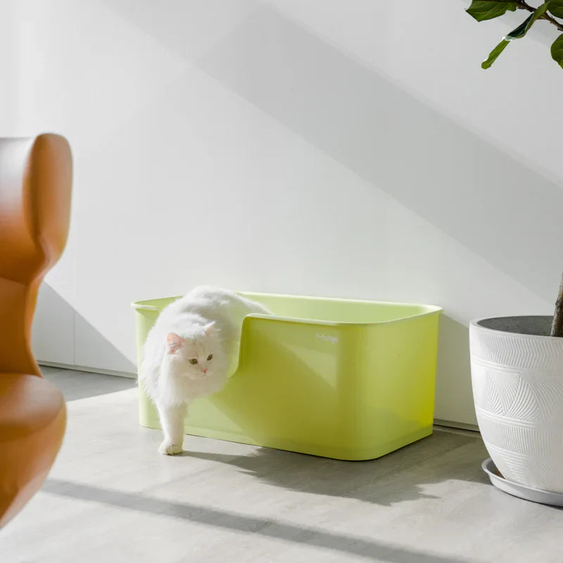 MANGO Open Oversized Splash-Proof Giant Cat Litter Box - kikiandpuppies