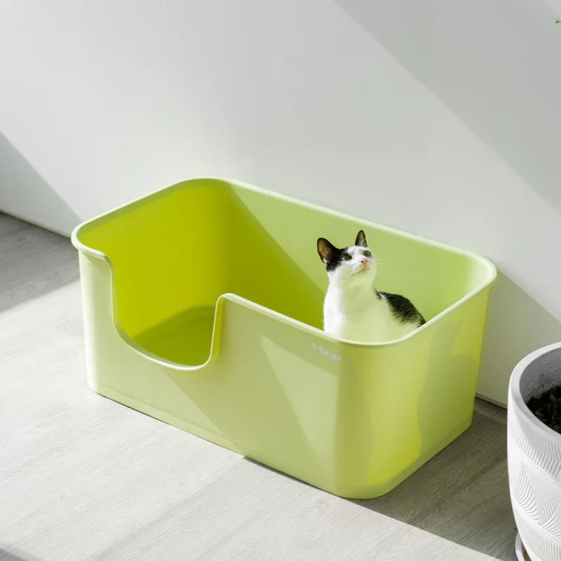 MANGO Open Oversized Splash-Proof Giant Cat Litter Box - kikiandpuppies
