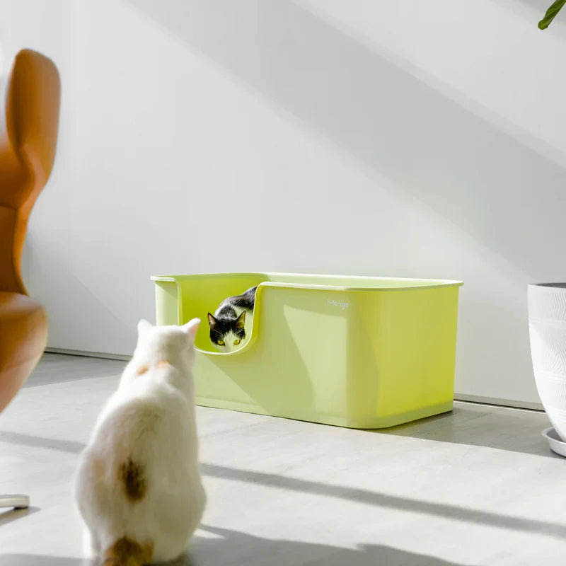 MANGO Open Oversized Splash-Proof Giant Cat Litter Box - kikiandpuppies