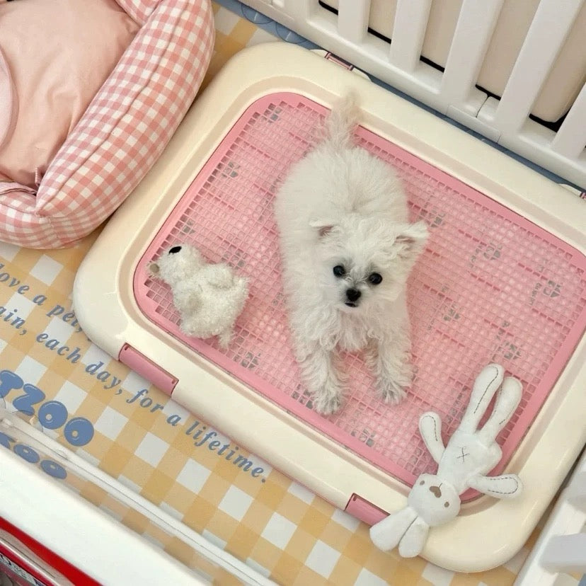 IRIS Dog Toilet - kikiandpuppies