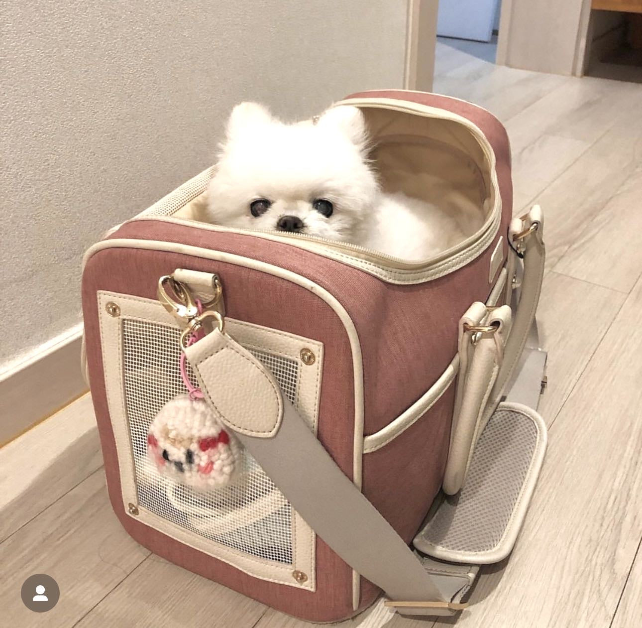 Milliong Pet Carrier Airline bag Getaway - Ash Rose - kikiandpuppies