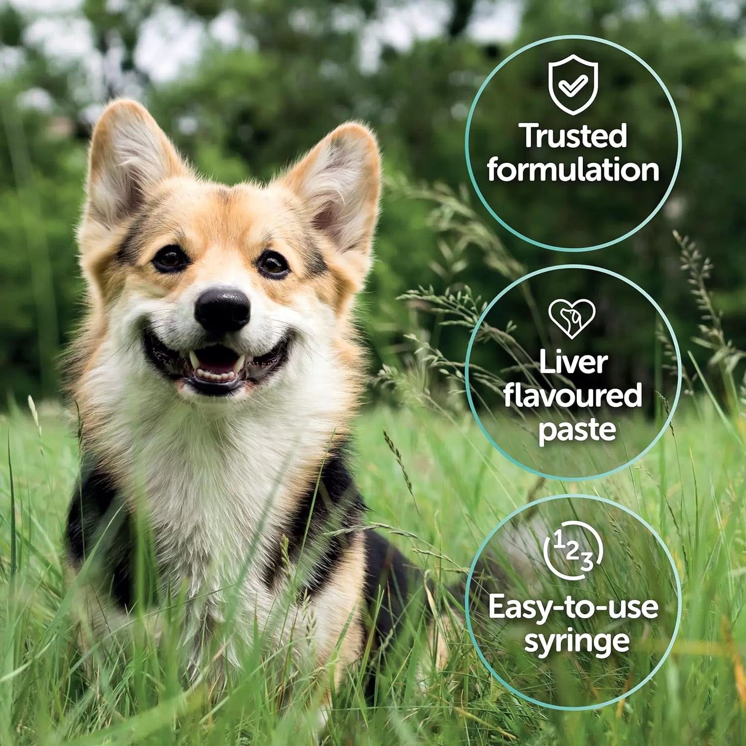 Pro-Kolin Probiotic paste for digestive support for dogs and cats