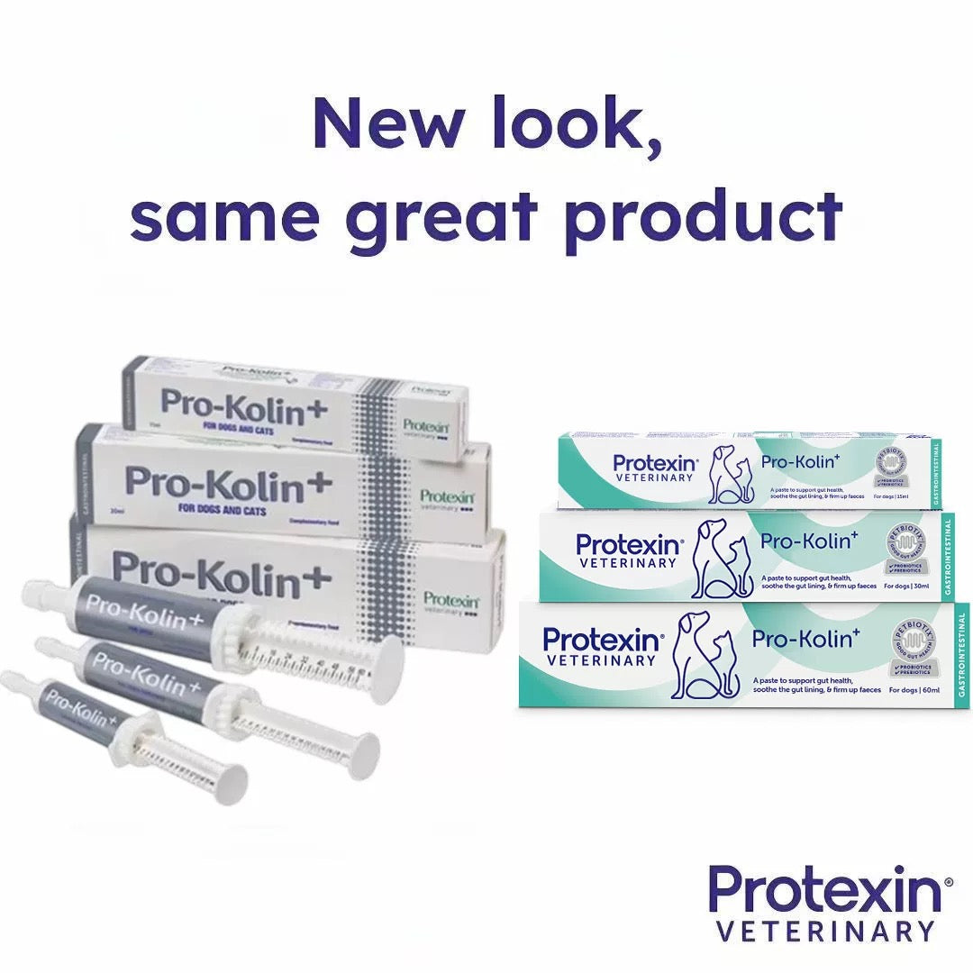 Pro-Kolin Probiotic paste for digestive support for dogs and cats