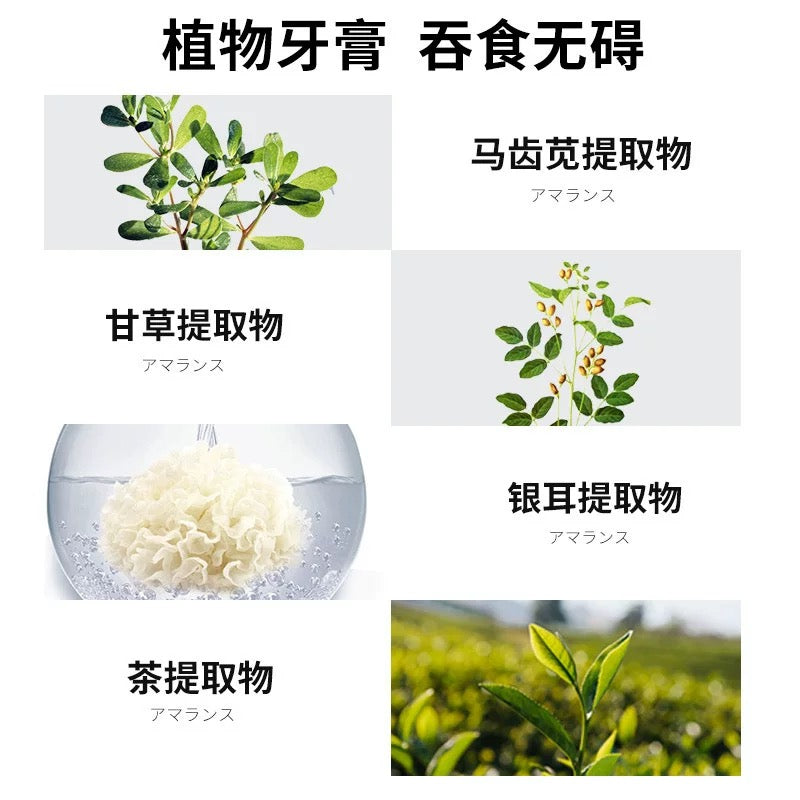 KOJIMA Dog and Cat Toothpaste Set - kikiandpuppies