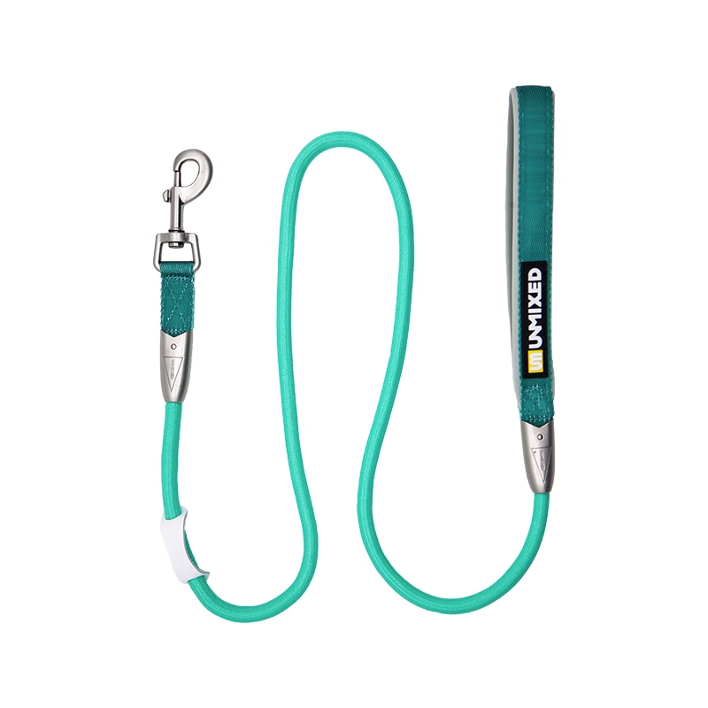 Candy-Colored Pet Leash
