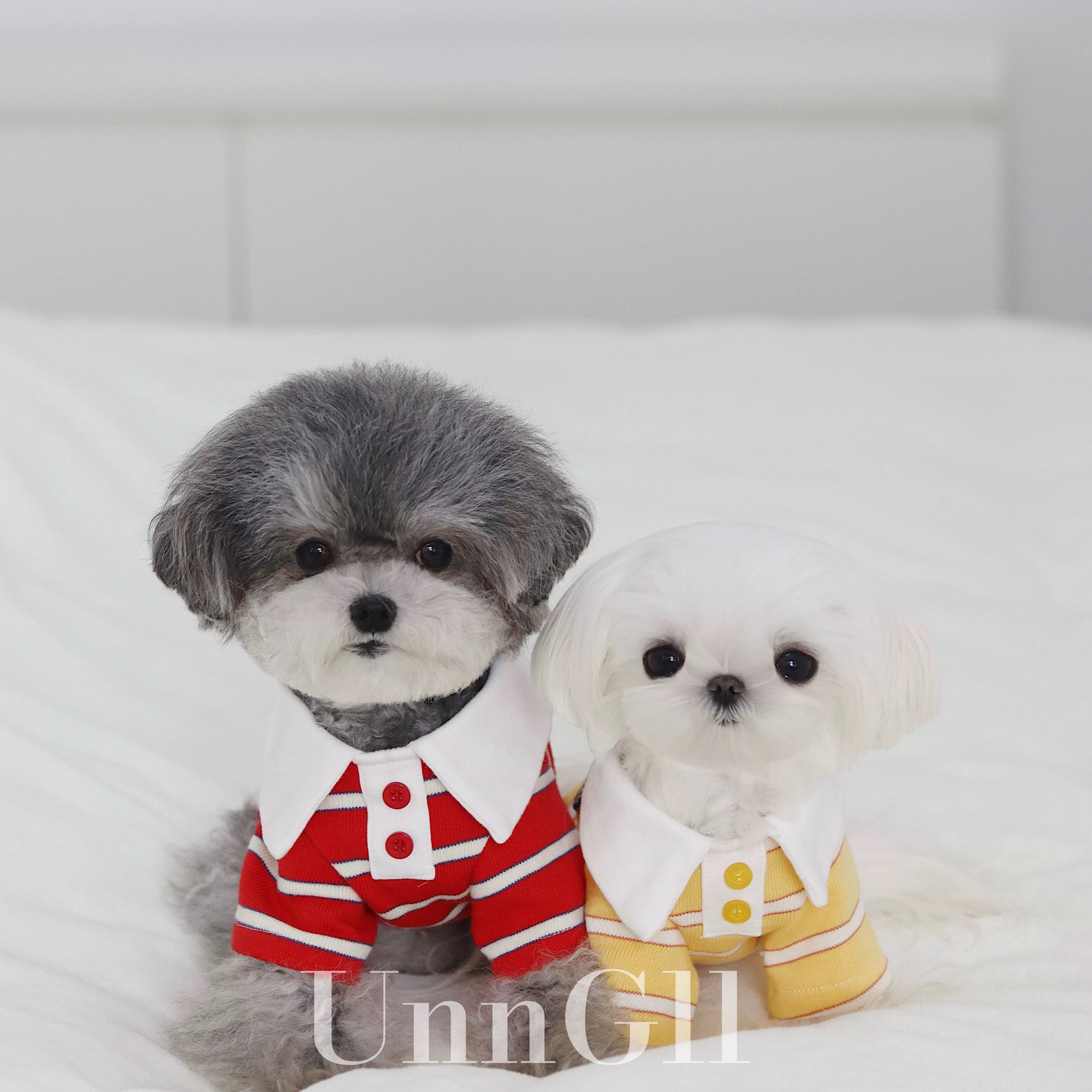 Pochacco Striped Vest Dog Clothing - Yellow