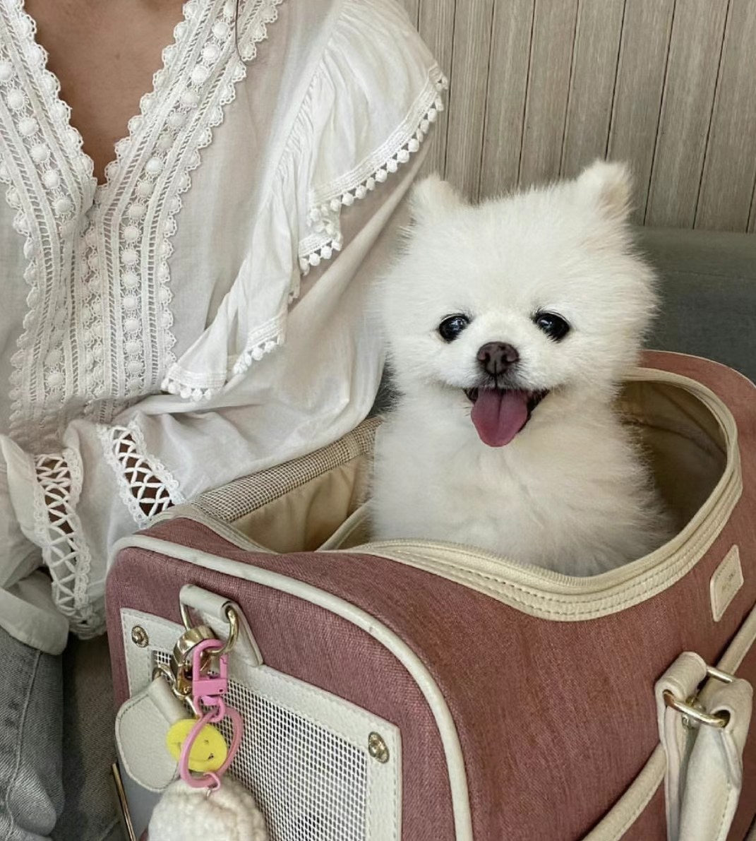 Milliong Pet Carrier Airline bag Getaway - Ash Rose - kikiandpuppies