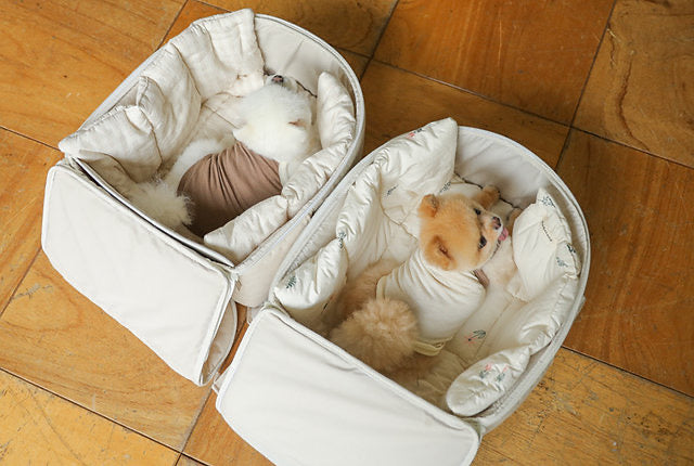 Ba&ttang Pet Carrier Bag Backpack