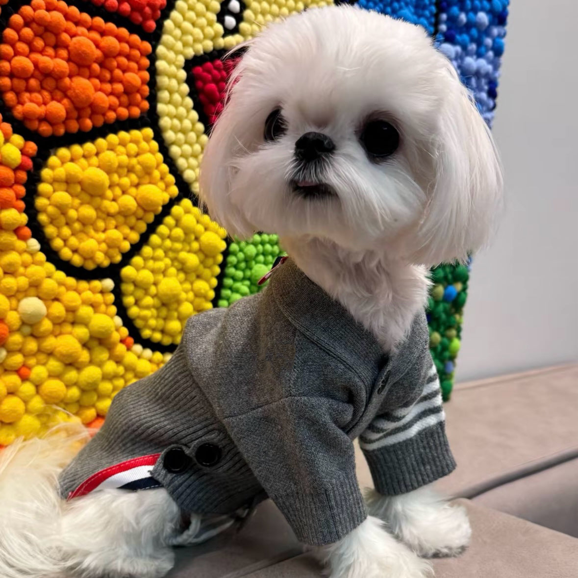 Pet Buttoned Striped Sweater Cardigan Top