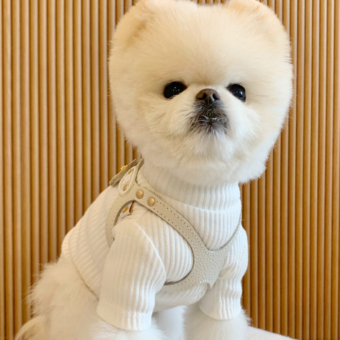 Luxury milk tea bb harness - kikiandpuppies