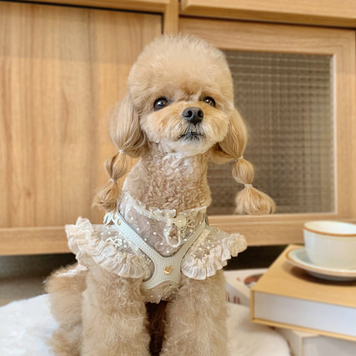 Luxury milk tea bb harness - kikiandpuppies