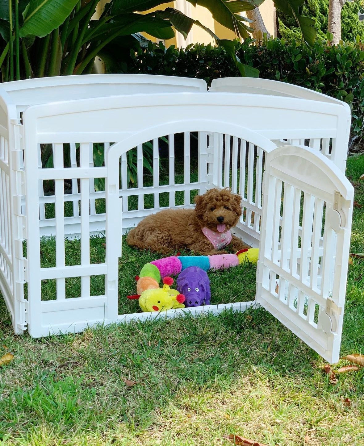 IRIS Pet Playpen - kikiandpuppies