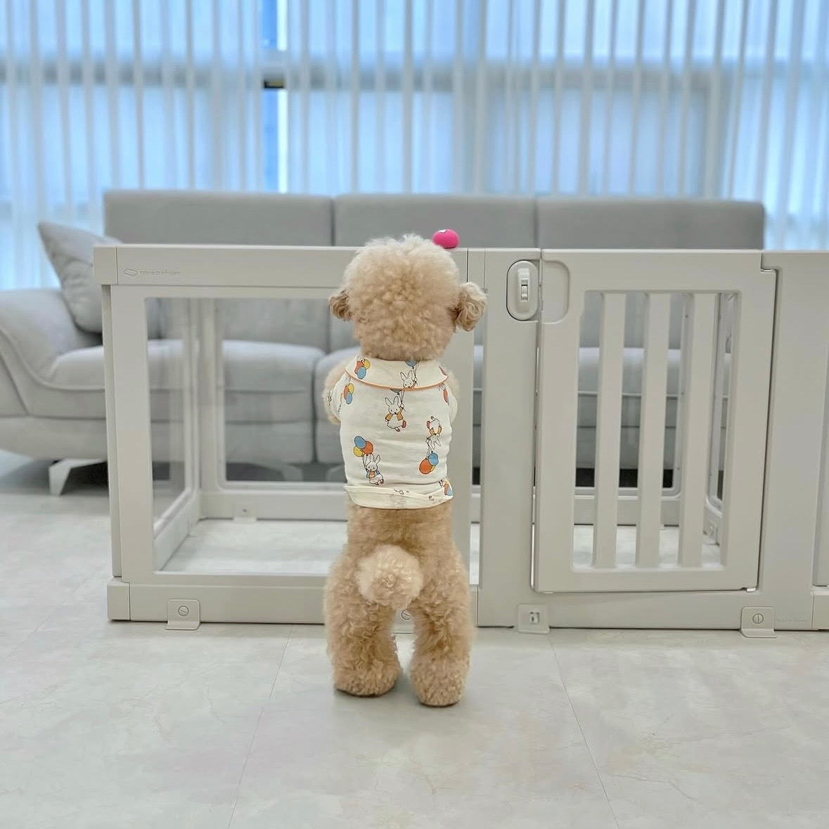 Transparent Pet Room Dog Fence