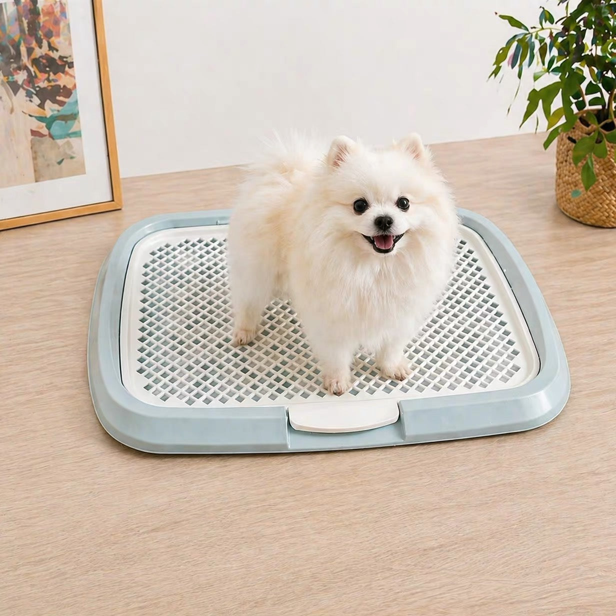 IRIS Scratch-Resistant Flat Dog Potty Tray