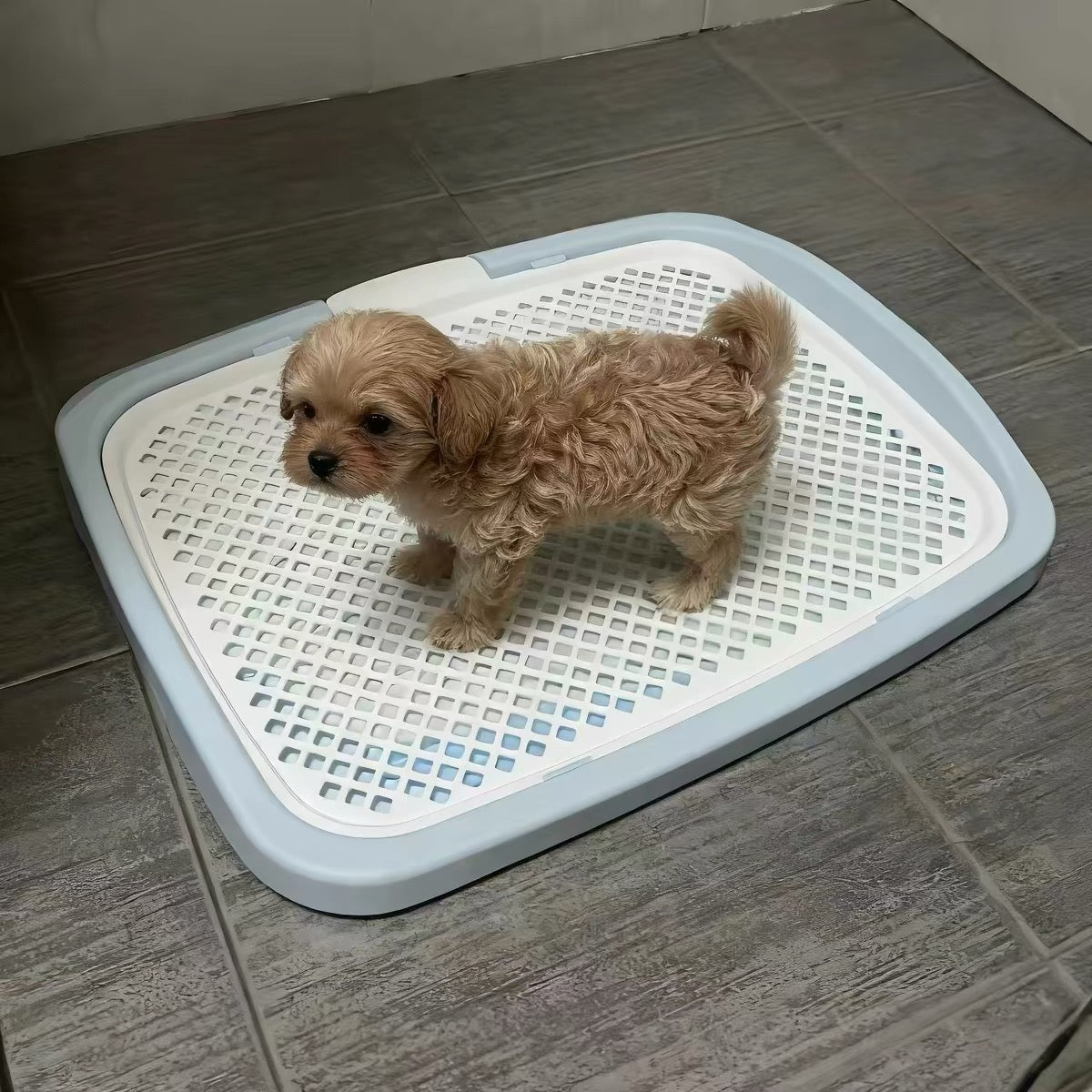 IRIS Scratch-Resistant Flat Dog Potty Tray