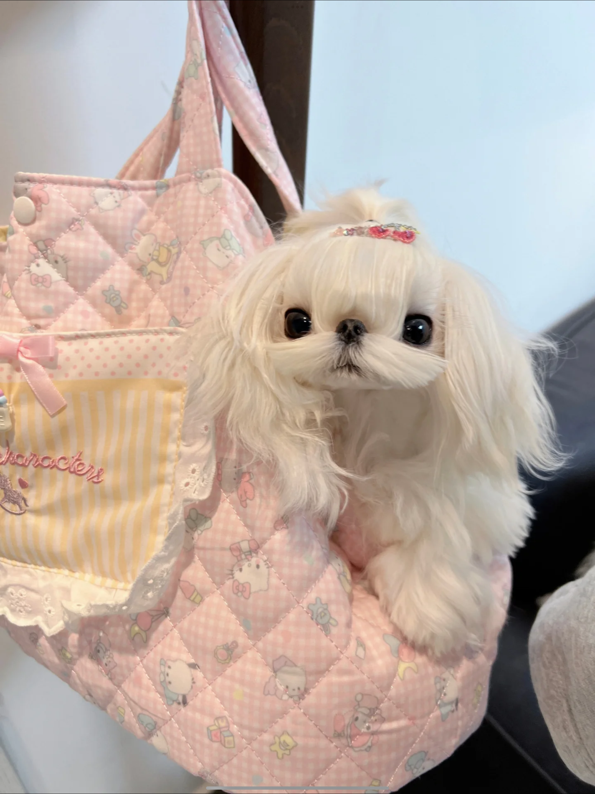 Pet Cat Dog Sling Bag with Inner Cushion - kikiandpuppies
